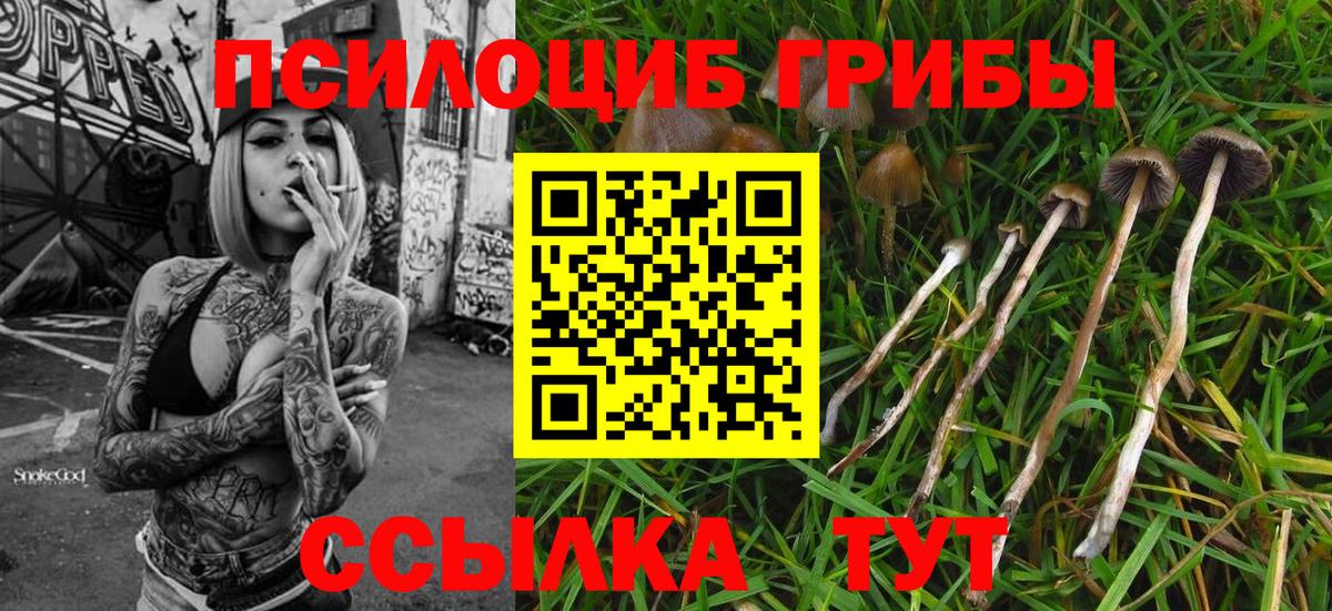 Торжок  Псилоцибиновые грибы ЛСД  Вход с VPN 